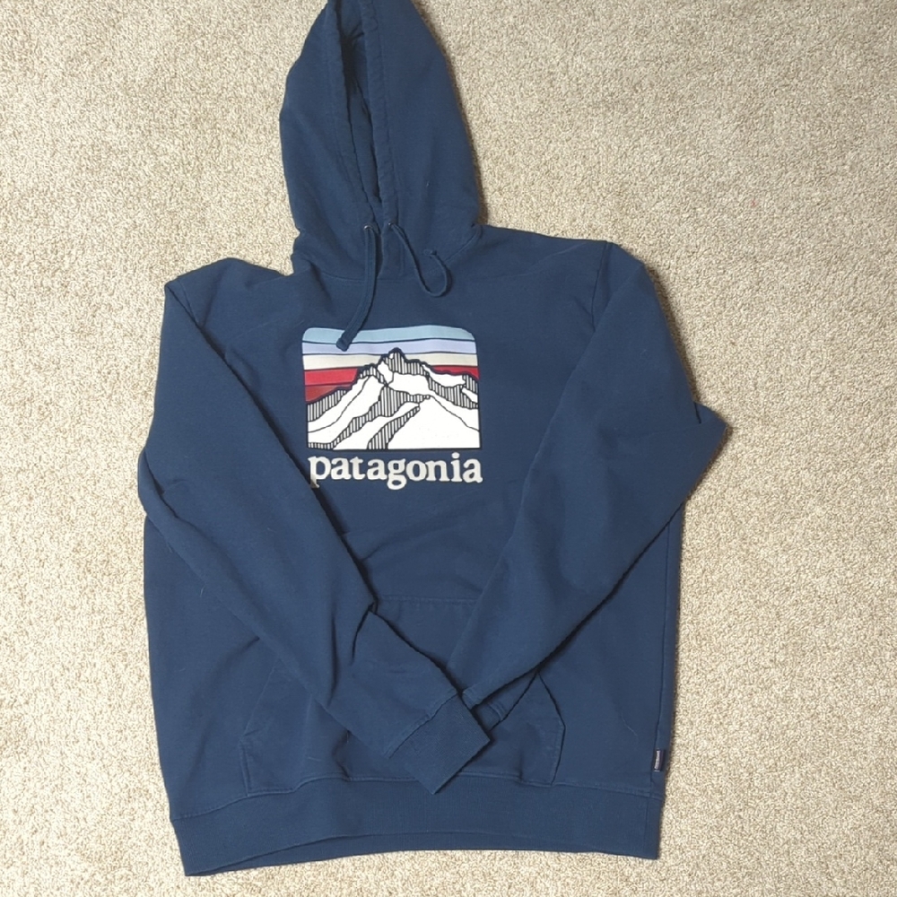 Patagonia Men's Blue Hoodie with Mountain Graphic